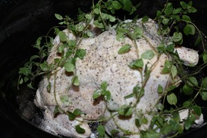 Seasoned raw chicken in crockpot