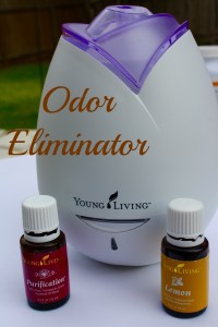 Odor Eliminator